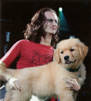 Illustration for article titled These Bass Players Look Like They're Petting Dogs, And It's Amazing